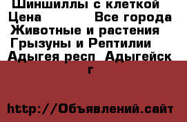 Шиншиллы с клеткой › Цена ­ 8 000 - Все города Животные и растения » Грызуны и Рептилии   . Адыгея респ.,Адыгейск г.